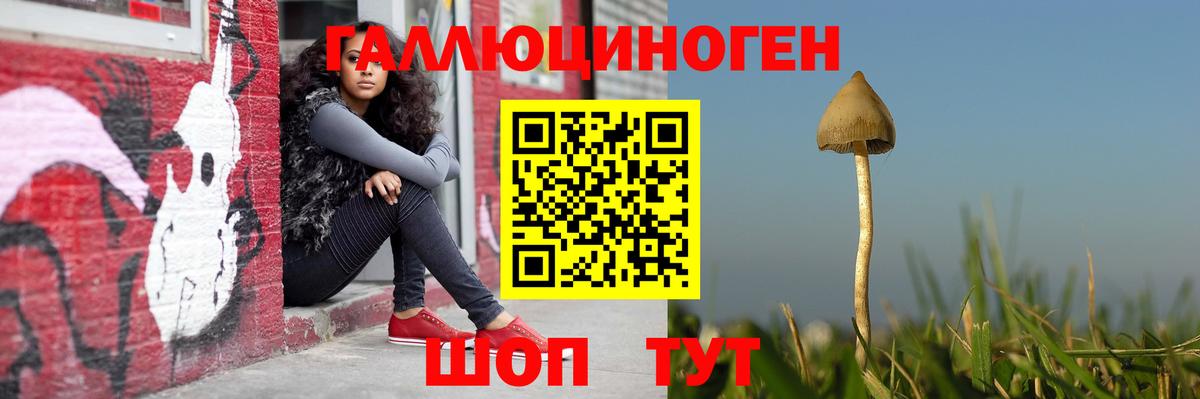 Галлюциногенные грибы Psilocybine cubensis  Вход с VPN  Орехово-Зуево 
