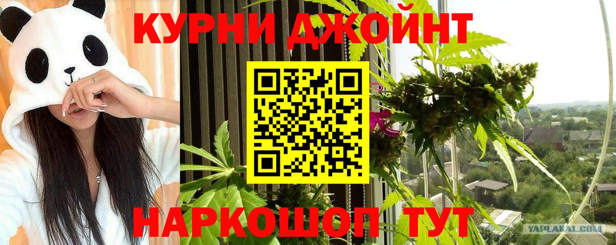 Орехово-Зуево  Шишки марихуана тримм  Вход с VPN  Бошки марихуана THC 21%  Шишки марихуана сатива 